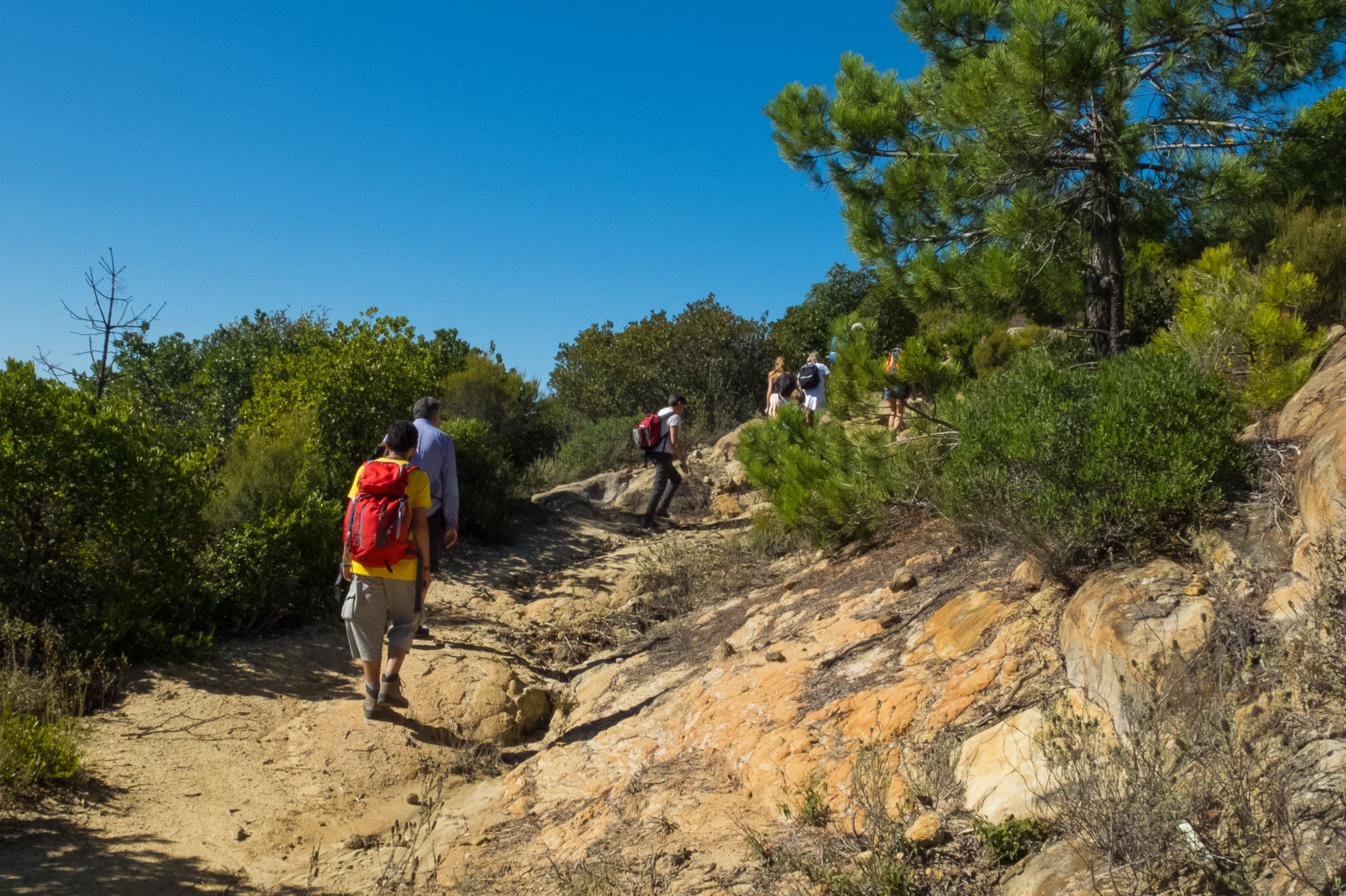 Trekking